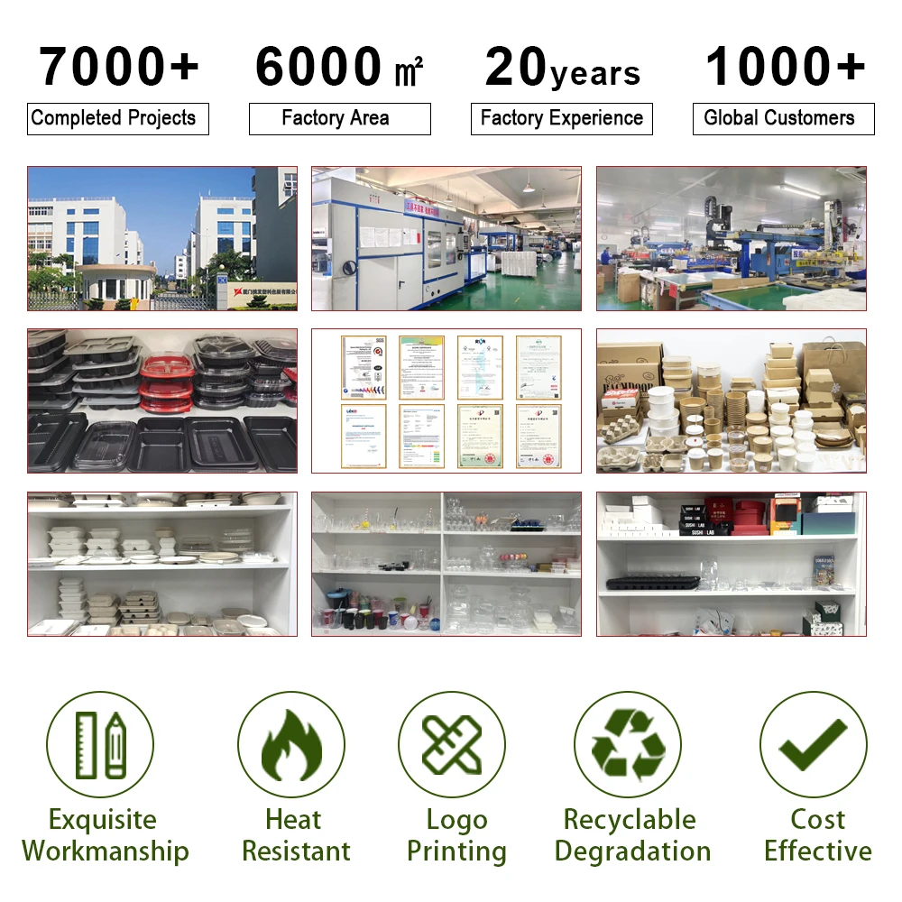 Microwave-Use Plastic Takeaway Food Tray PP Recyclable Lunch Food Container - Image 6