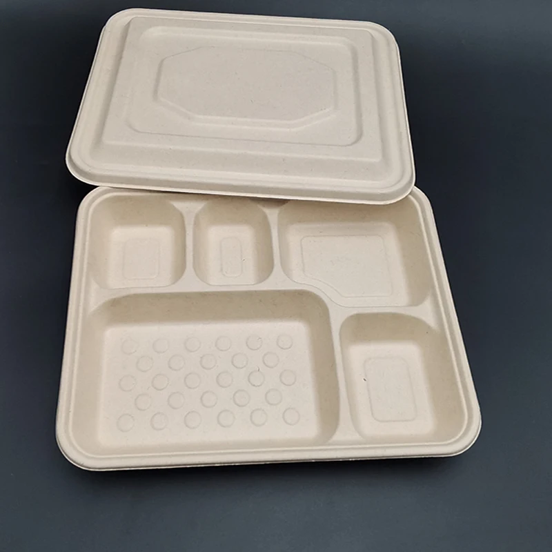 Disposable Bagasse Sugarcane 5 Compartment Food Tray with Lid